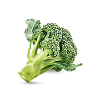 h3-product11 h3-product11