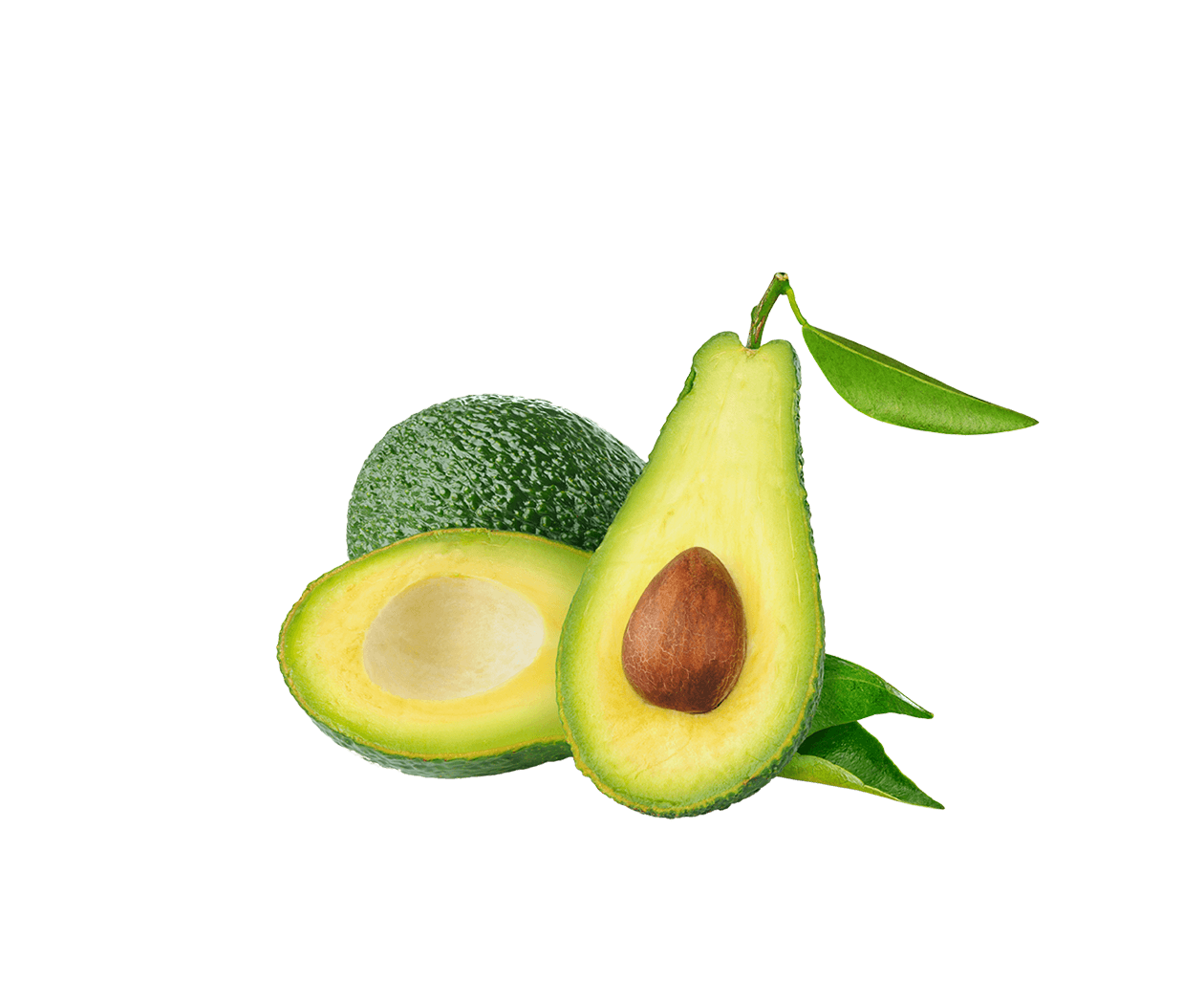 Organic Avocado