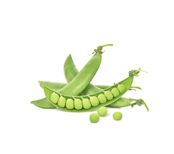 h3-product7 h3-product7