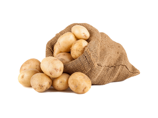 h8-product2 h8-product2